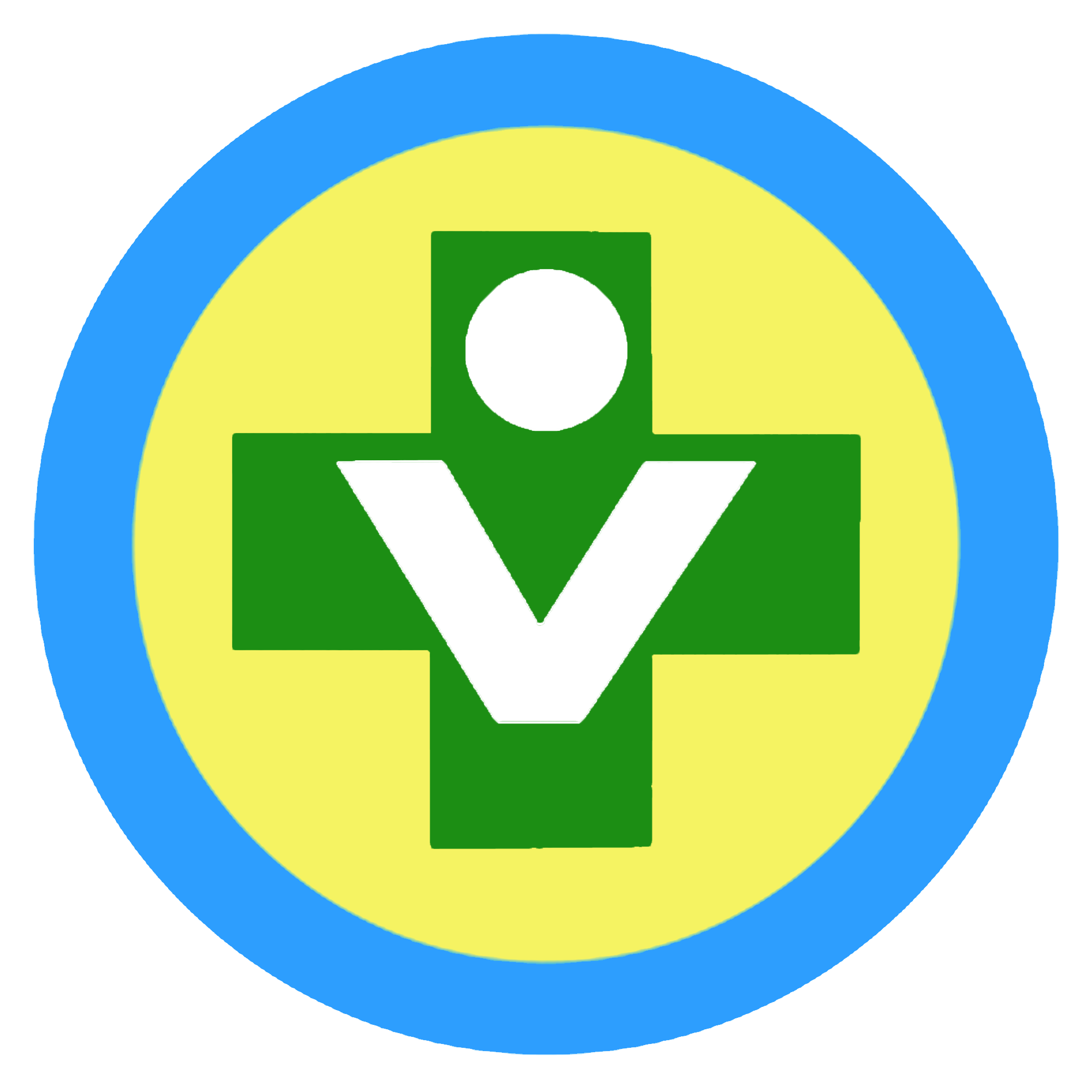 Logo RS Vita Insani